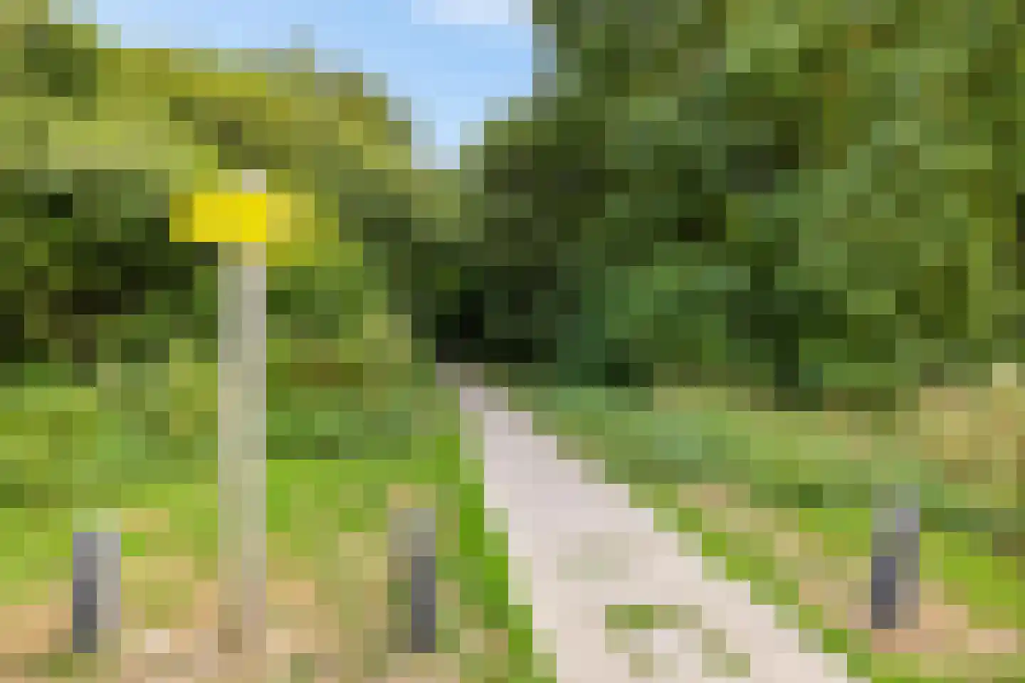 Westerdijkstraat 50 Roodeschool thumbnail 41