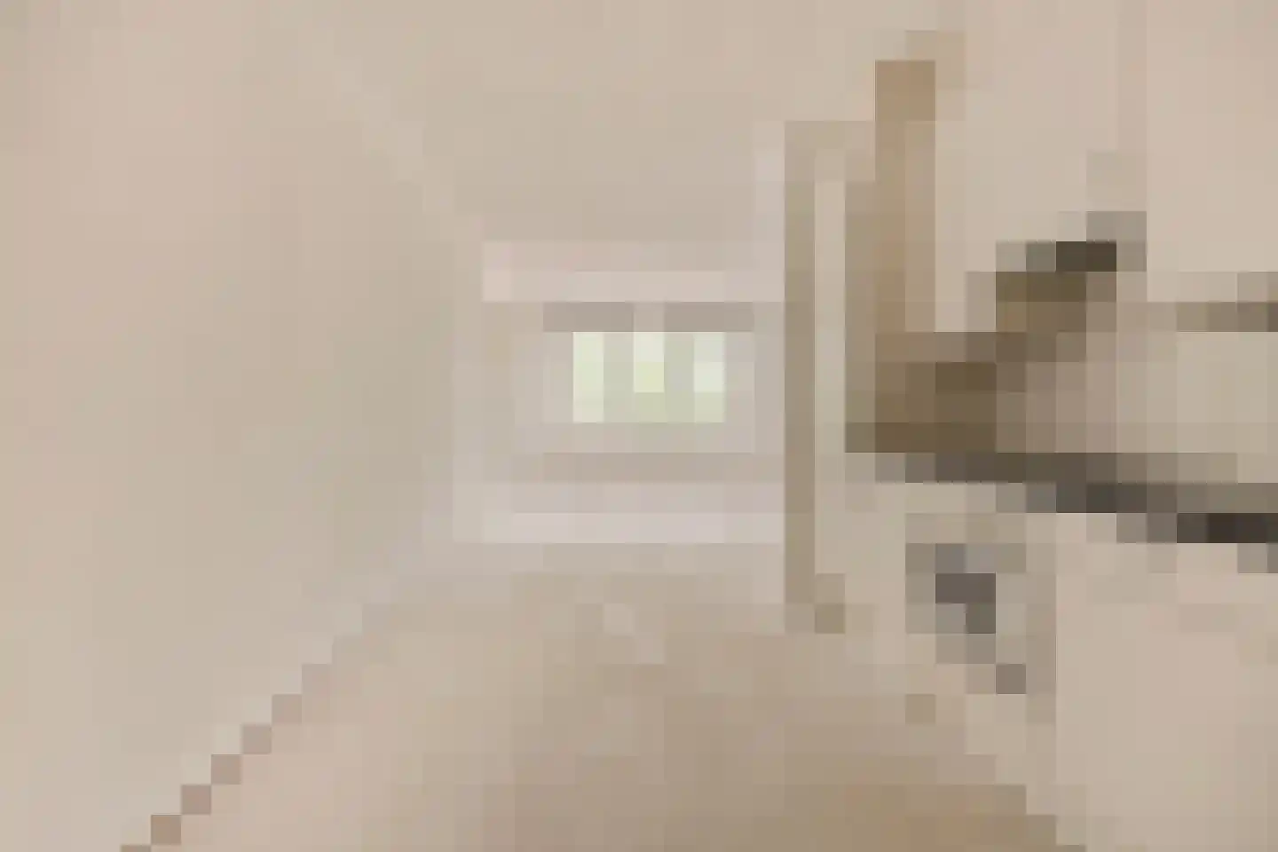 Westerdok 244 Amsterdam thumbnail 14