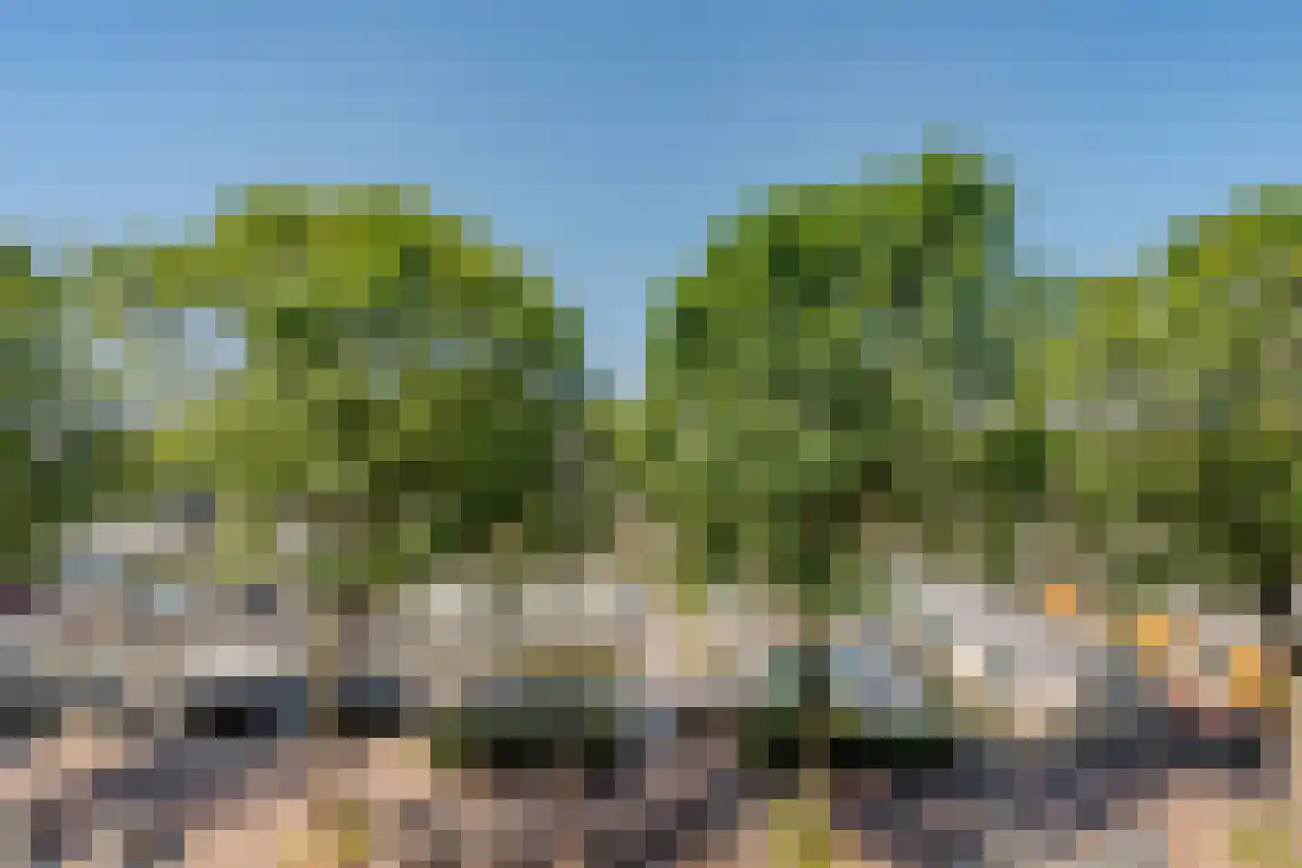 Westerdok 244 Amsterdam thumbnail 25