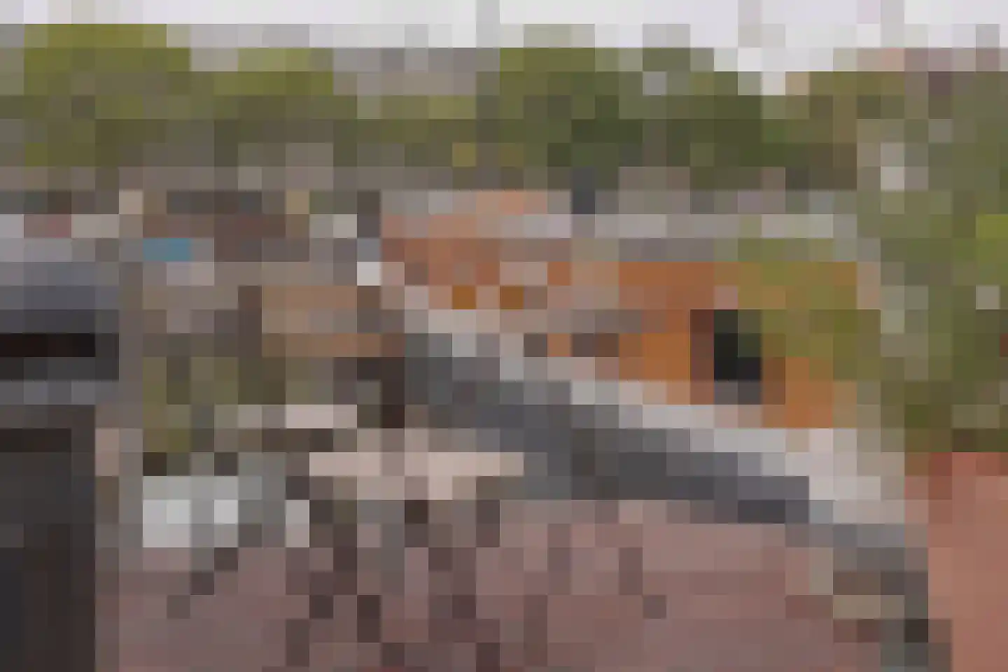 Westerdok 25 Amsterdam thumbnail 25