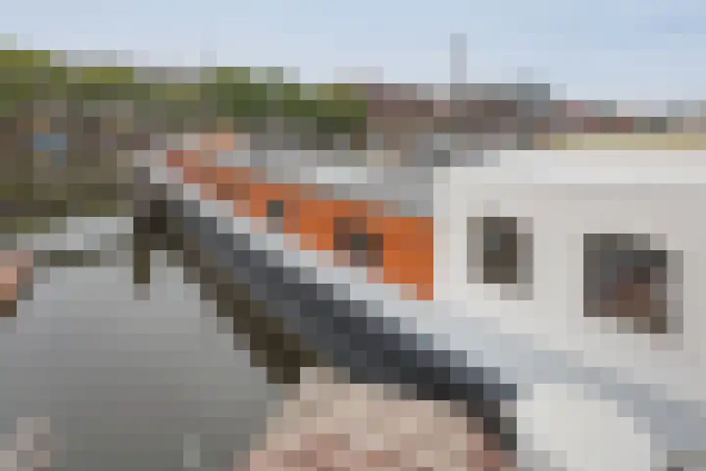 Westerdok 25 Amsterdam thumbnail 26
