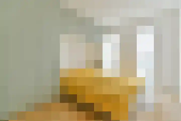 Westerdok 344 Amsterdam thumbnail 16