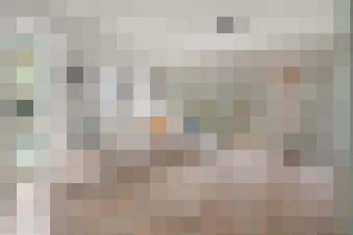 Westerdok 356 Amsterdam