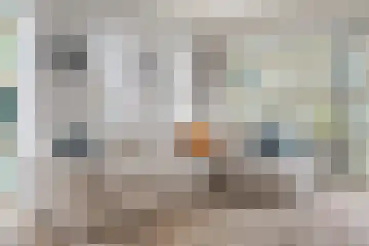 Westerdok 356 Amsterdam thumbnail 5