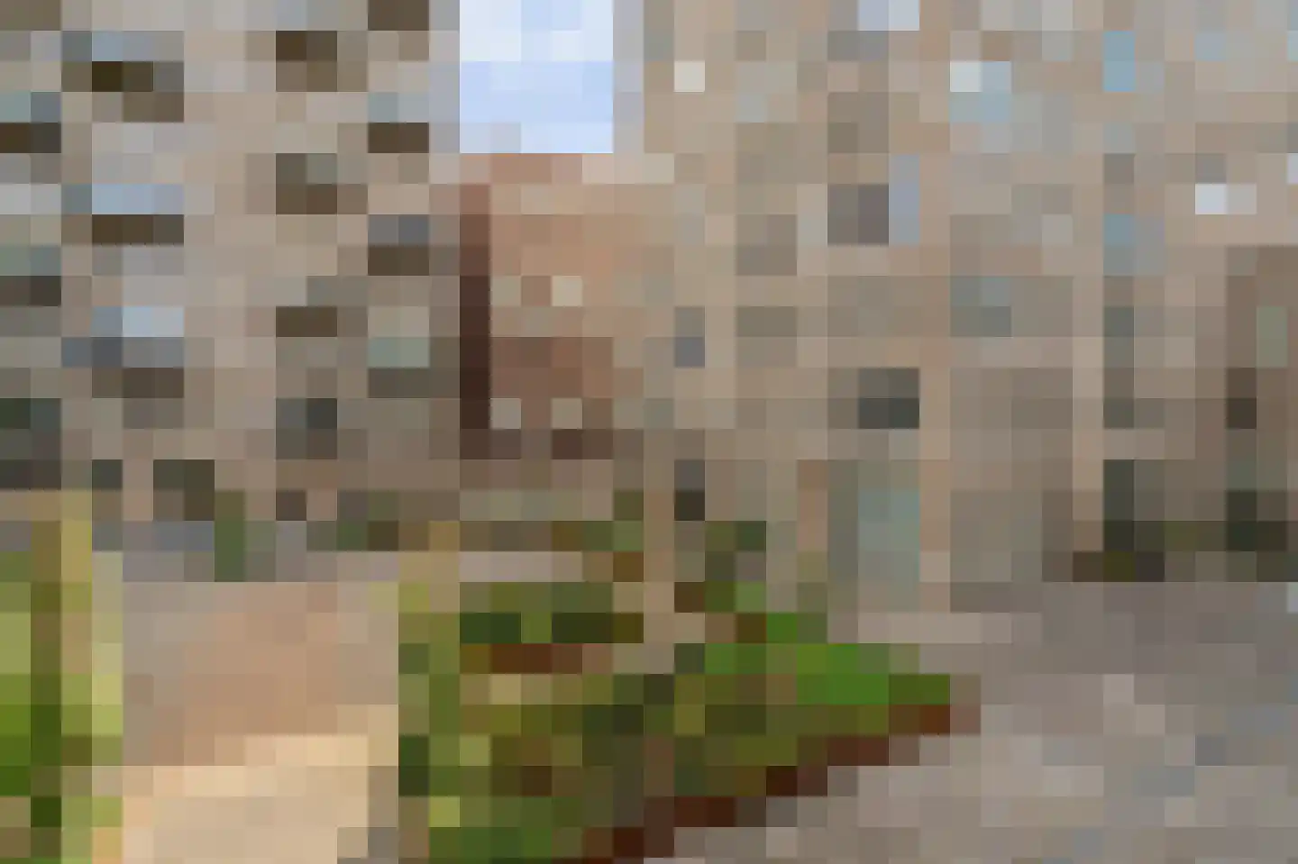 Westerdok 380 Amsterdam thumbnail 13