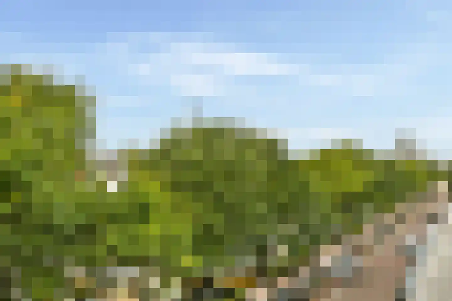 Westerdok 620 Amsterdam thumbnail 13