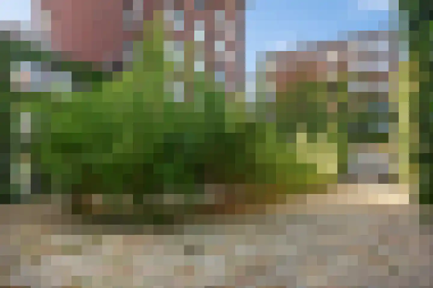 Westerdok 646 Amsterdam thumbnail 22