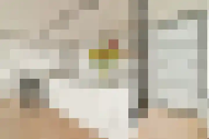 Westerdok 666 Amsterdam thumbnail 11
