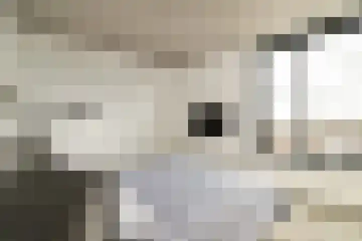 Westerdok 666 Amsterdam thumbnail 14