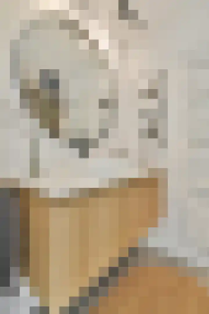 Westerdok 666 Amsterdam thumbnail 18