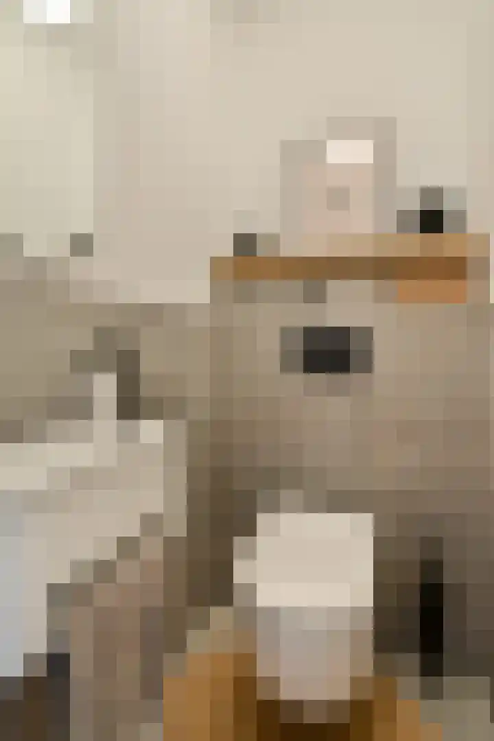 Westerdok 666 Amsterdam thumbnail 22