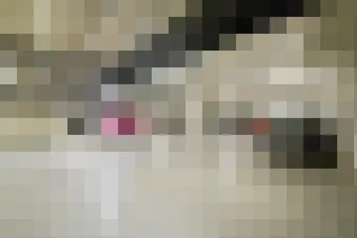 Westerdok 666 Amsterdam thumbnail 26