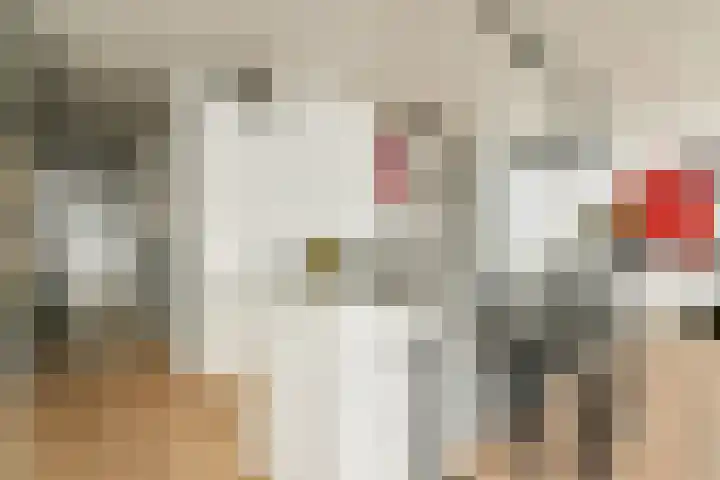 Westerdok 666 Amsterdam thumbnail 9