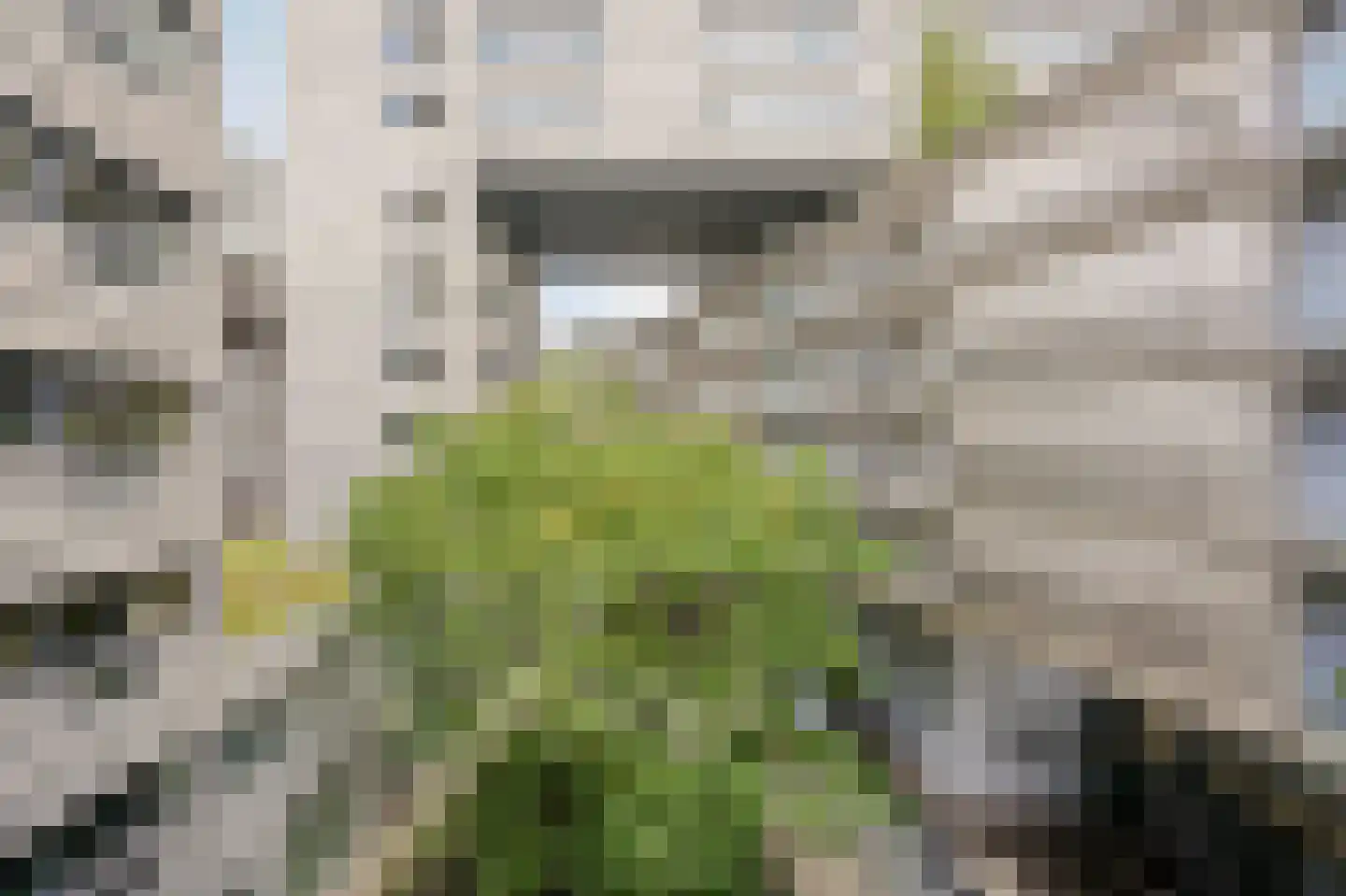 Westerdok 84 Amsterdam thumbnail 27
