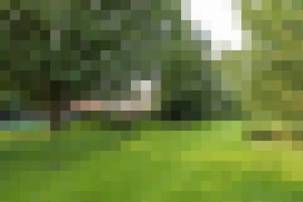 Westerdorpsstraat 101 Hoevelaken thumbnail 8