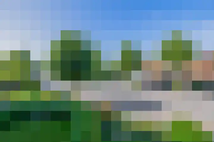 Westerdreef 133 Lisse thumbnail 11