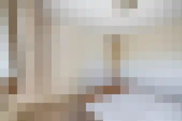 Westerdreef 133 Lisse thumbnail 13