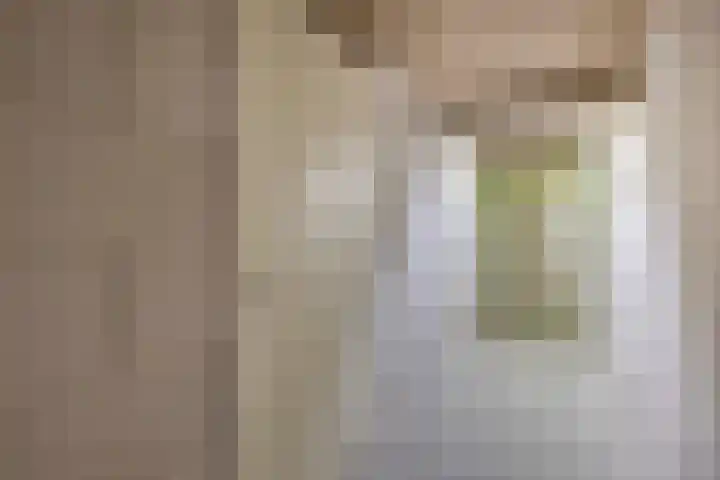Westerdreef 133 Lisse thumbnail 26