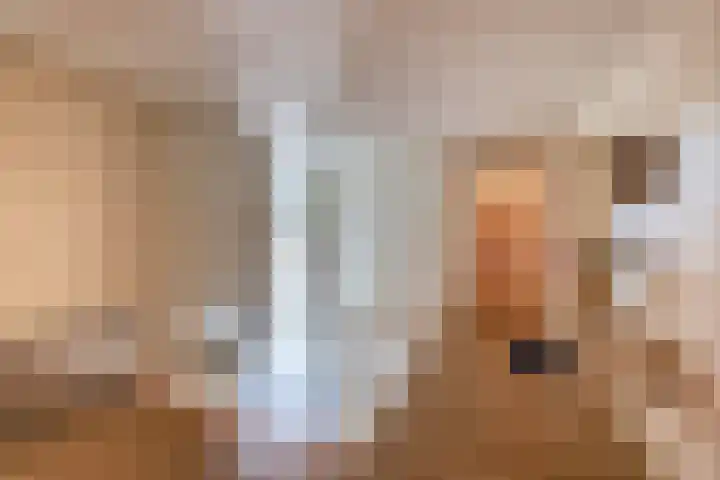 Westerdreef 133 Lisse thumbnail 30
