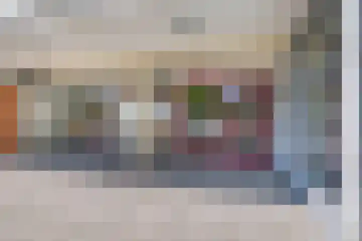 Westerdreef 133 Lisse thumbnail 31