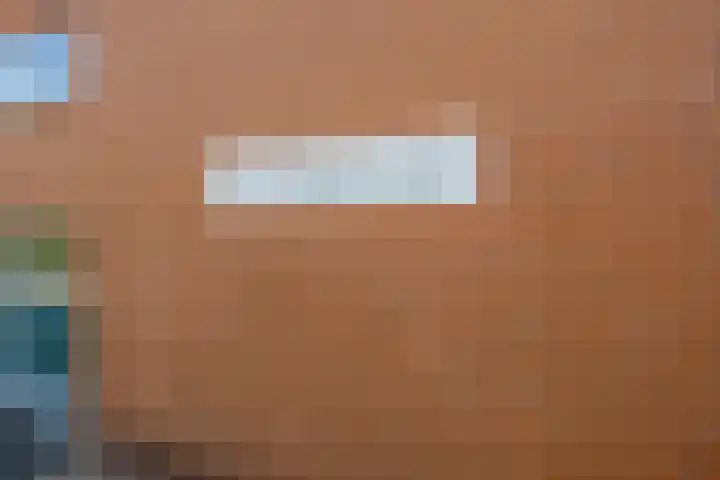 Westerdreef 133 Lisse thumbnail 33