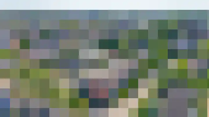 Westerdreef 133 Lisse thumbnail 40