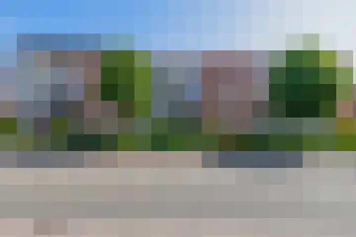 Westerdreef 133 Lisse thumbnail 50