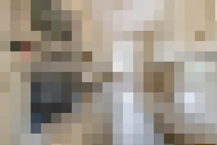 Westerdreef 133 Lisse thumbnail 7