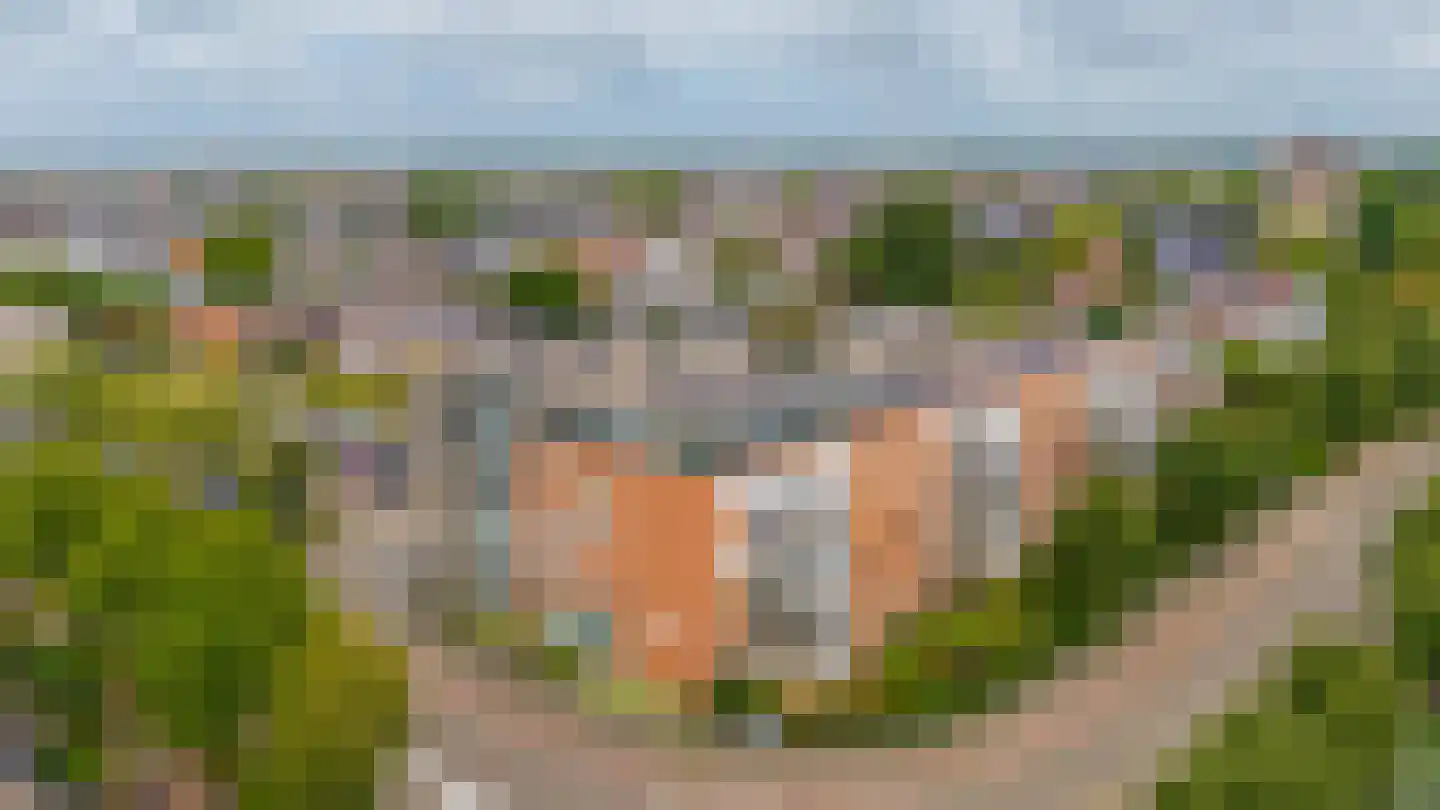 Westerdreef 169 Lisse thumbnail 31