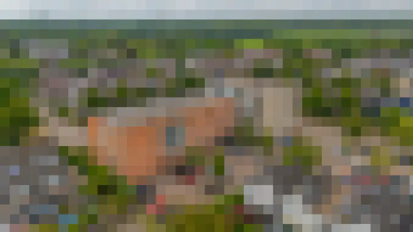 Westerdreef 169 Lisse thumbnail 32