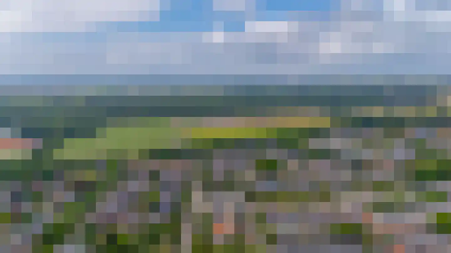 Westerdreef 169 Lisse thumbnail 33