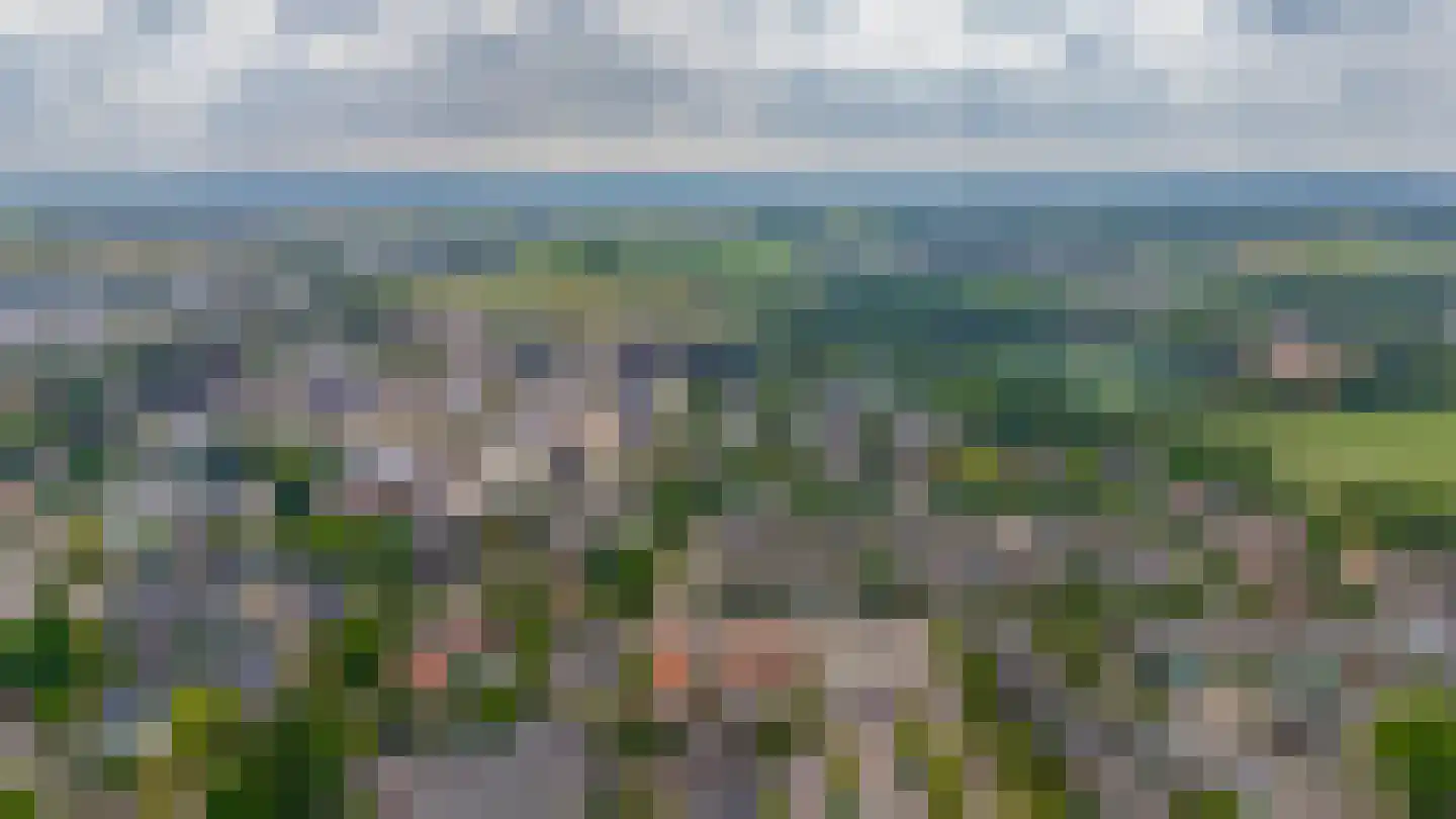 Westerdreef 169 Lisse thumbnail 34