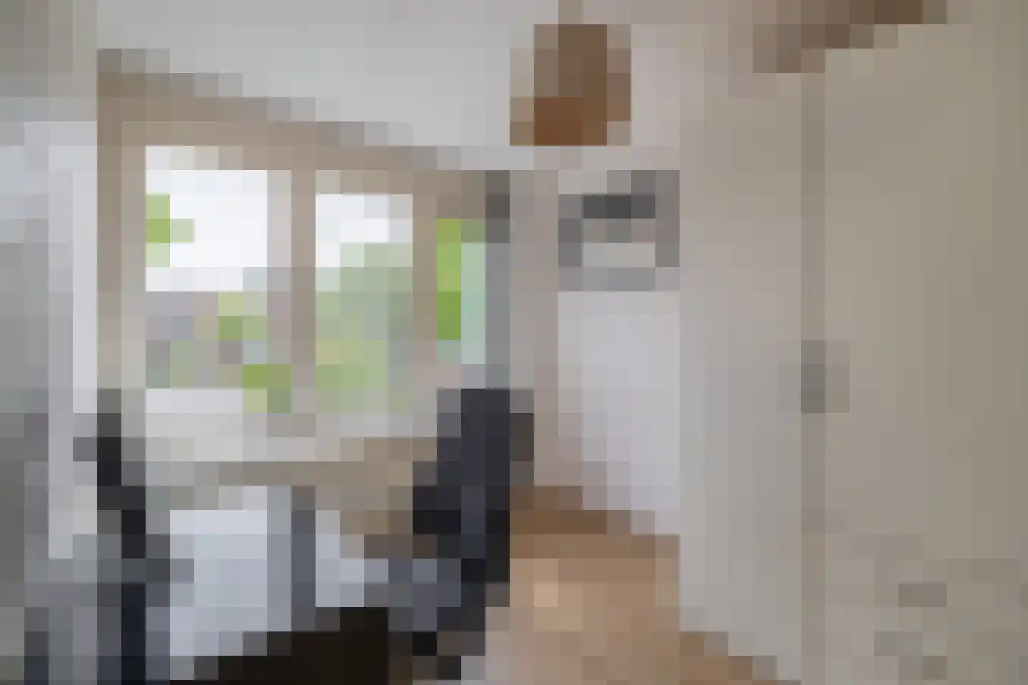 Westerdreef 34 Lisse thumbnail 28