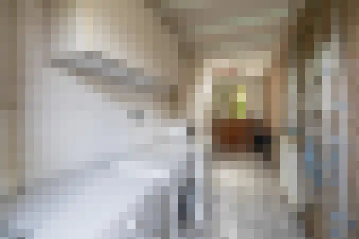 Westerdreef 34 Lisse thumbnail 32
