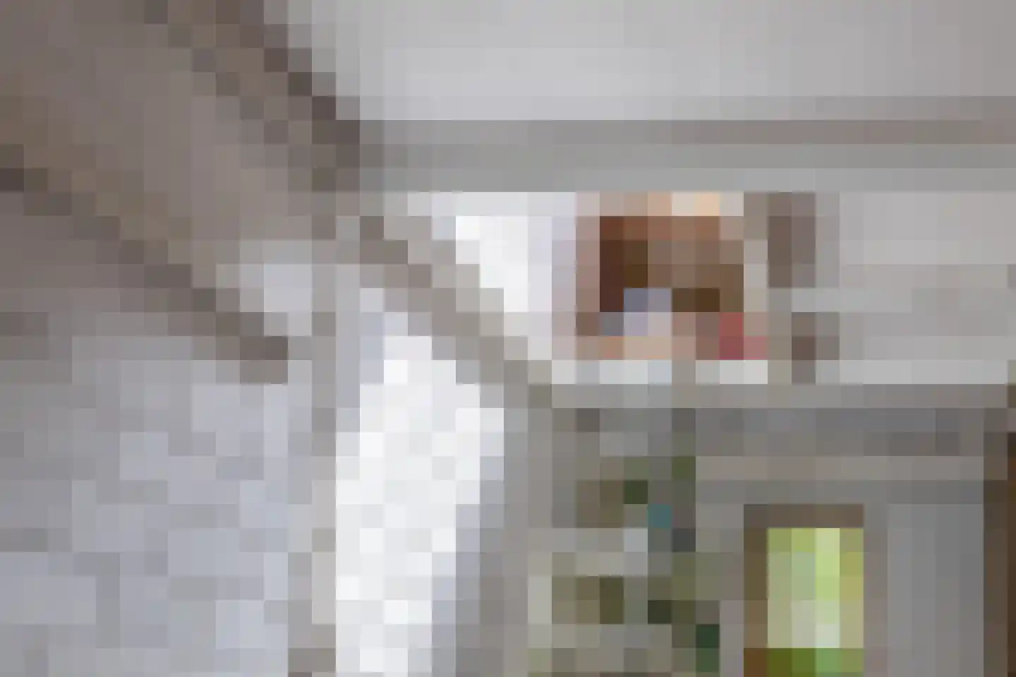 Westerdreef 34 Lisse thumbnail 33