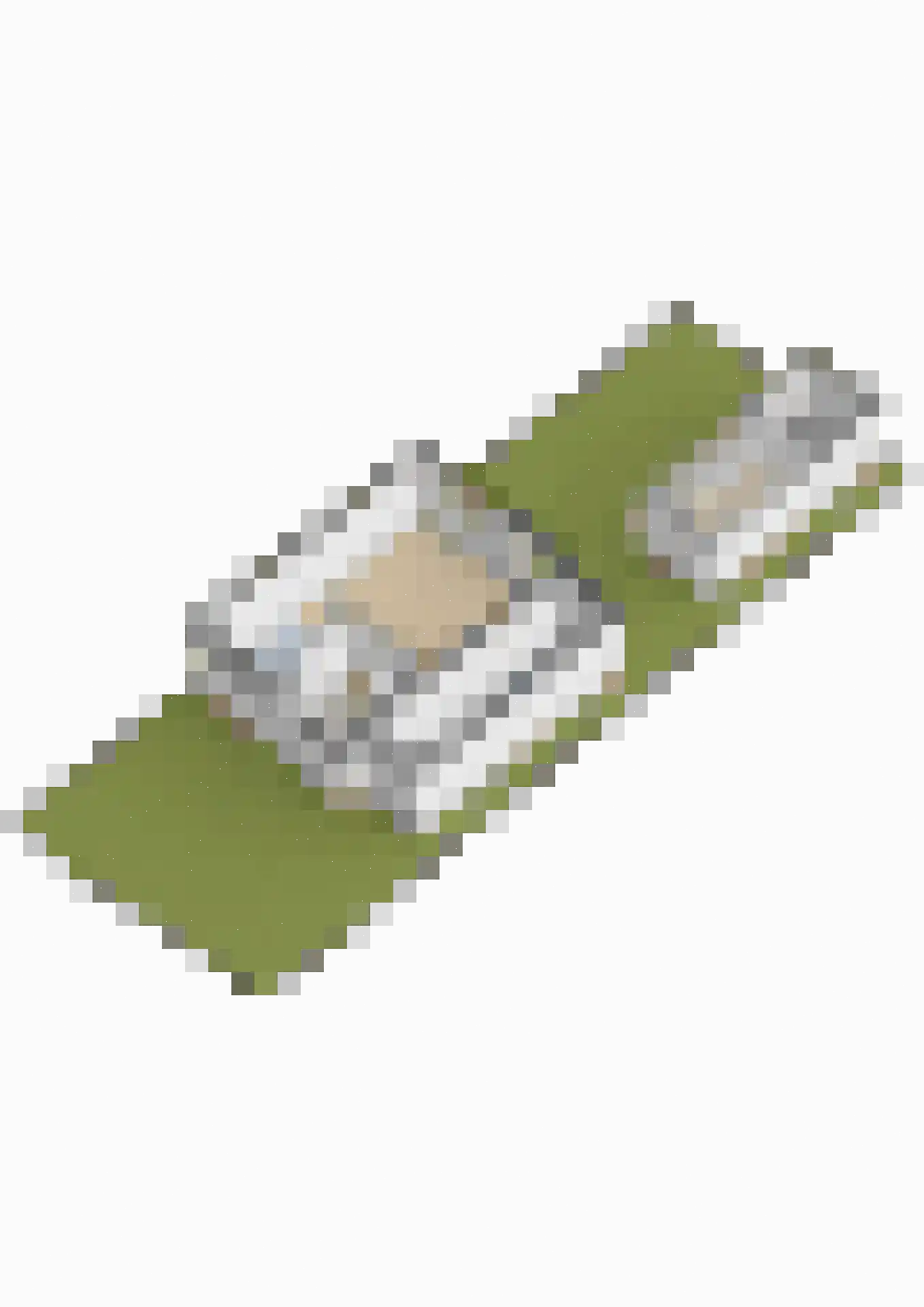 Westerdreef 34 Lisse thumbnail 47