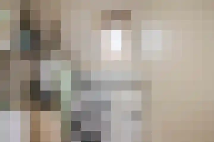 Westerdreef 38 Lisse thumbnail 30