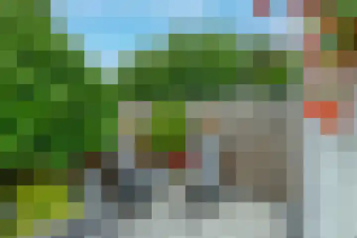 Westerdreef 38 Lisse thumbnail 36