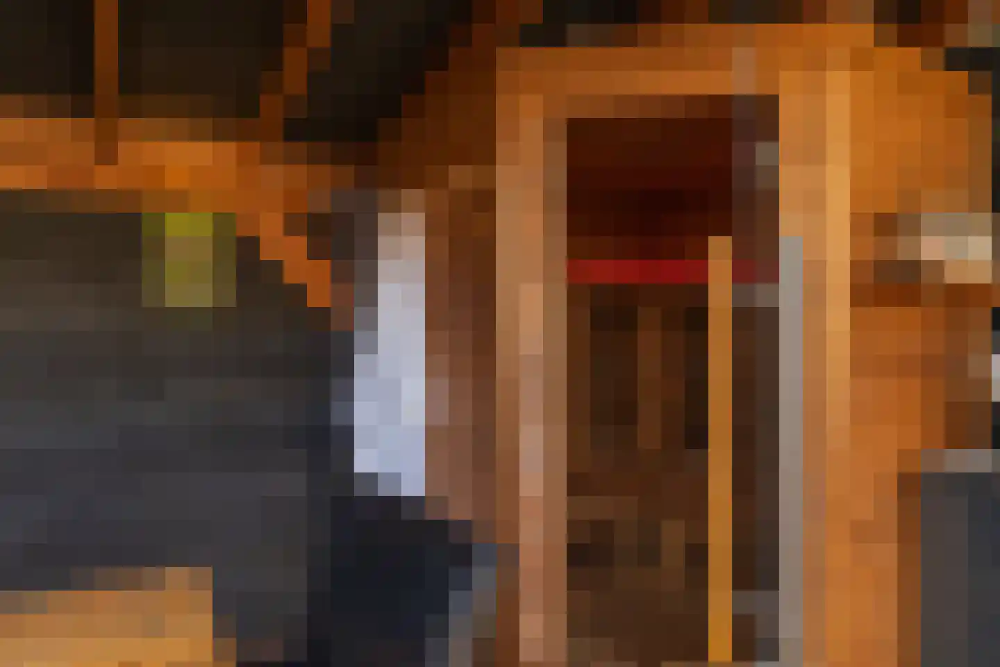 Westerdreef 47 Lisse thumbnail 22