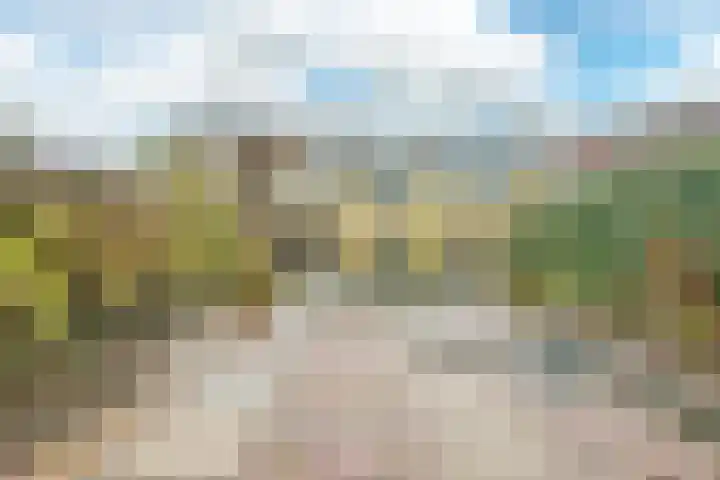Westerdreef 49 Nieuw-Vennep thumbnail 20