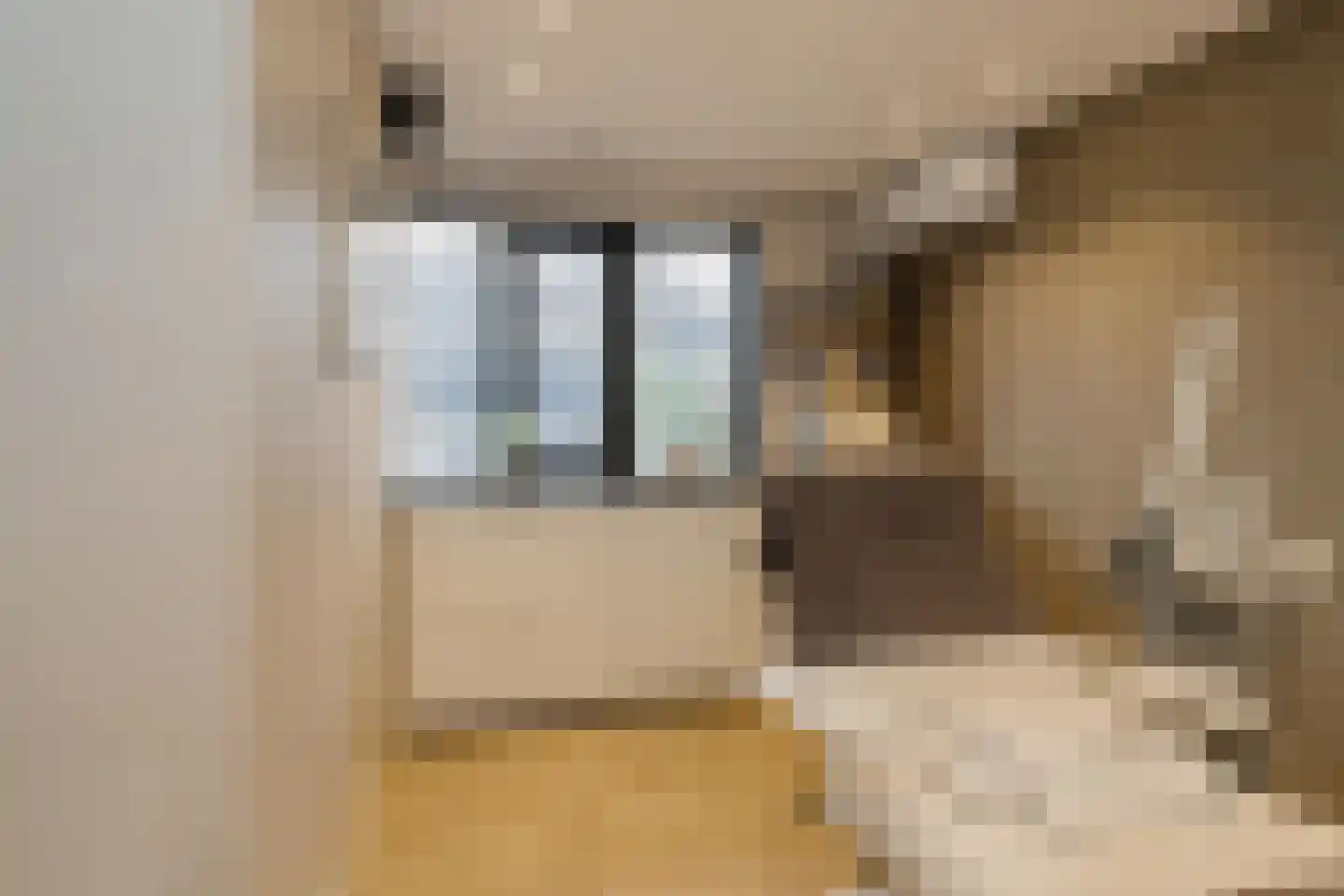 Westerdreef 67 Lisse thumbnail 10