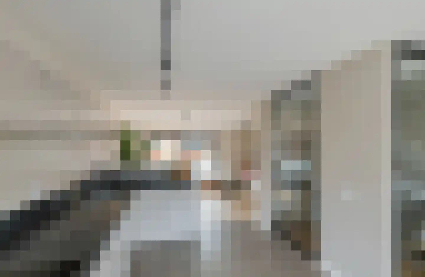 Westerdreef 67 Lisse thumbnail 22