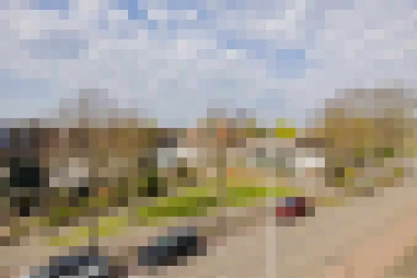 Westerdreef 67 Lisse thumbnail 41