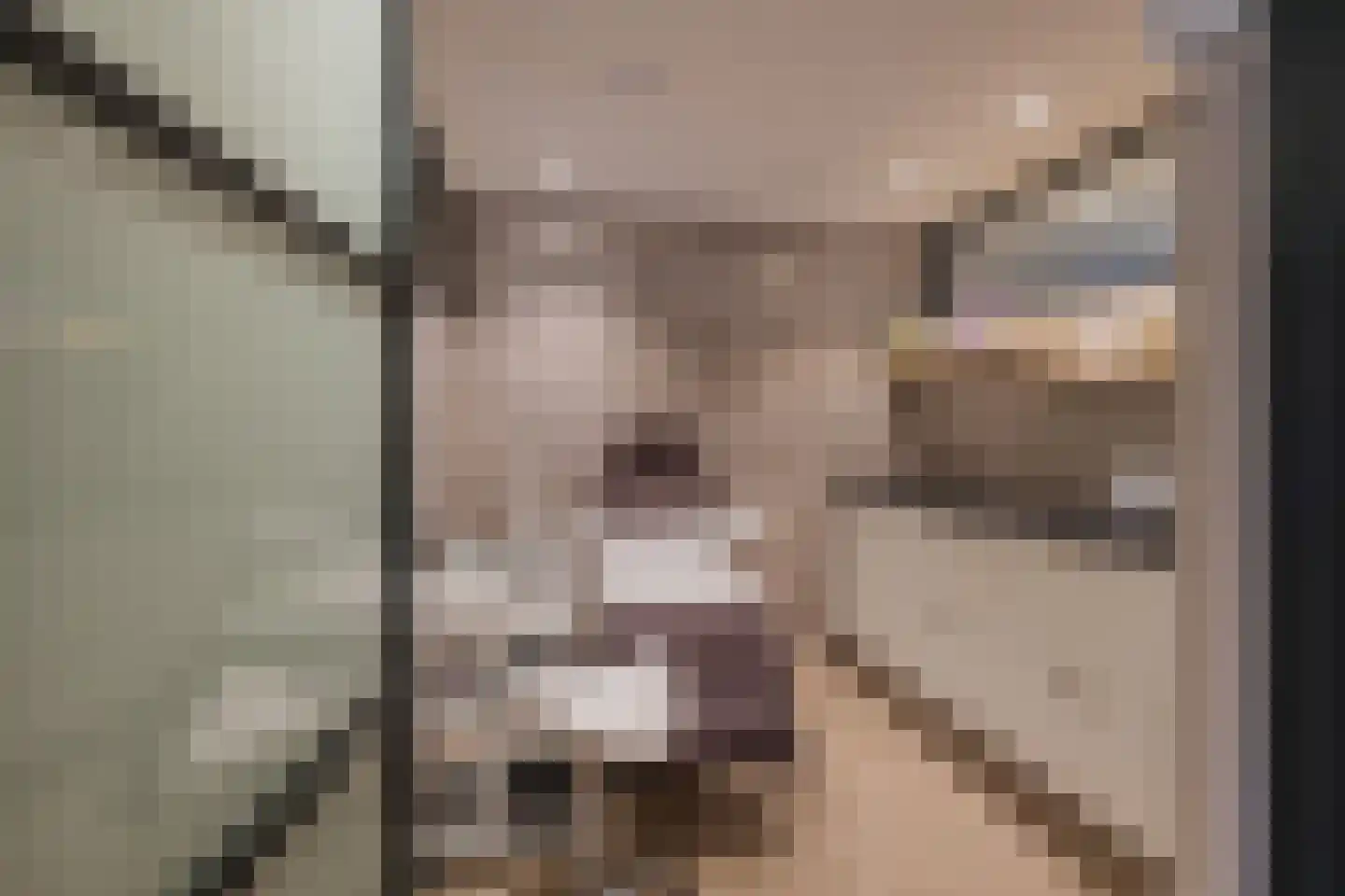 Westerdreef 67 Lisse thumbnail 8
