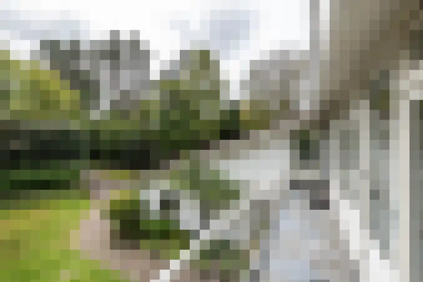 Westerduinweg 1 a Aerdenhout thumbnail 25