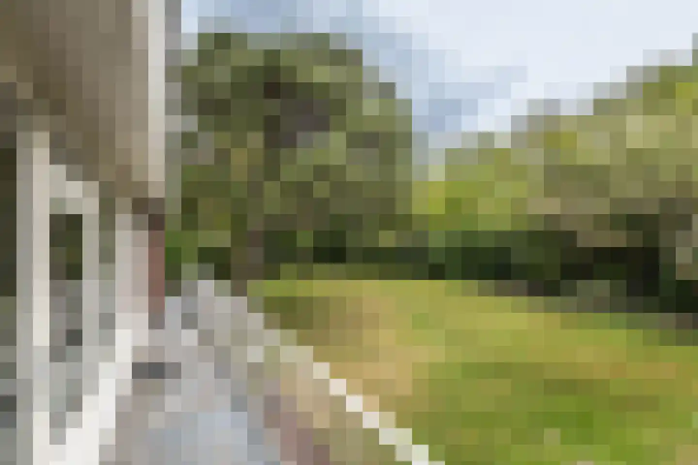 Westerduinweg 1 a Aerdenhout thumbnail 26