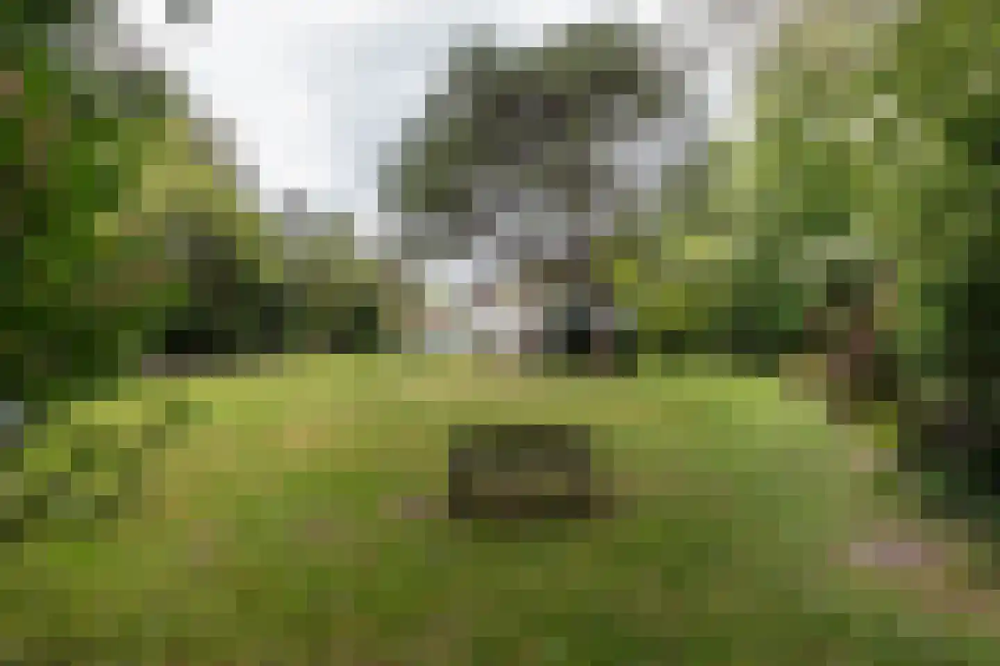 Westerduinweg 1 a Aerdenhout thumbnail 27