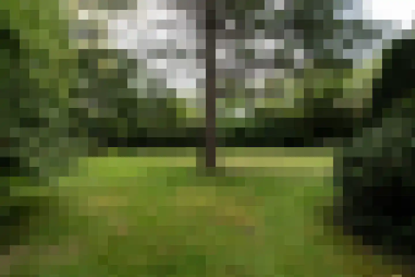 Westerduinweg 1 a Aerdenhout thumbnail 30