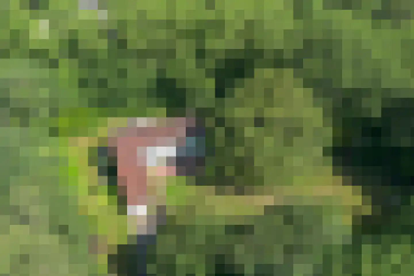 Westerduinweg 1 a Aerdenhout thumbnail 31