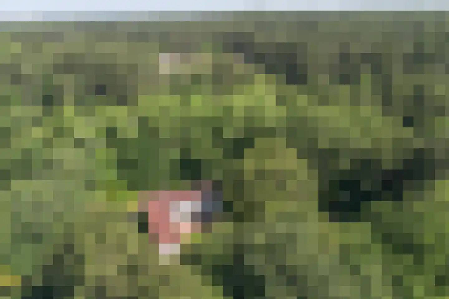 Westerduinweg 1 a Aerdenhout thumbnail 34